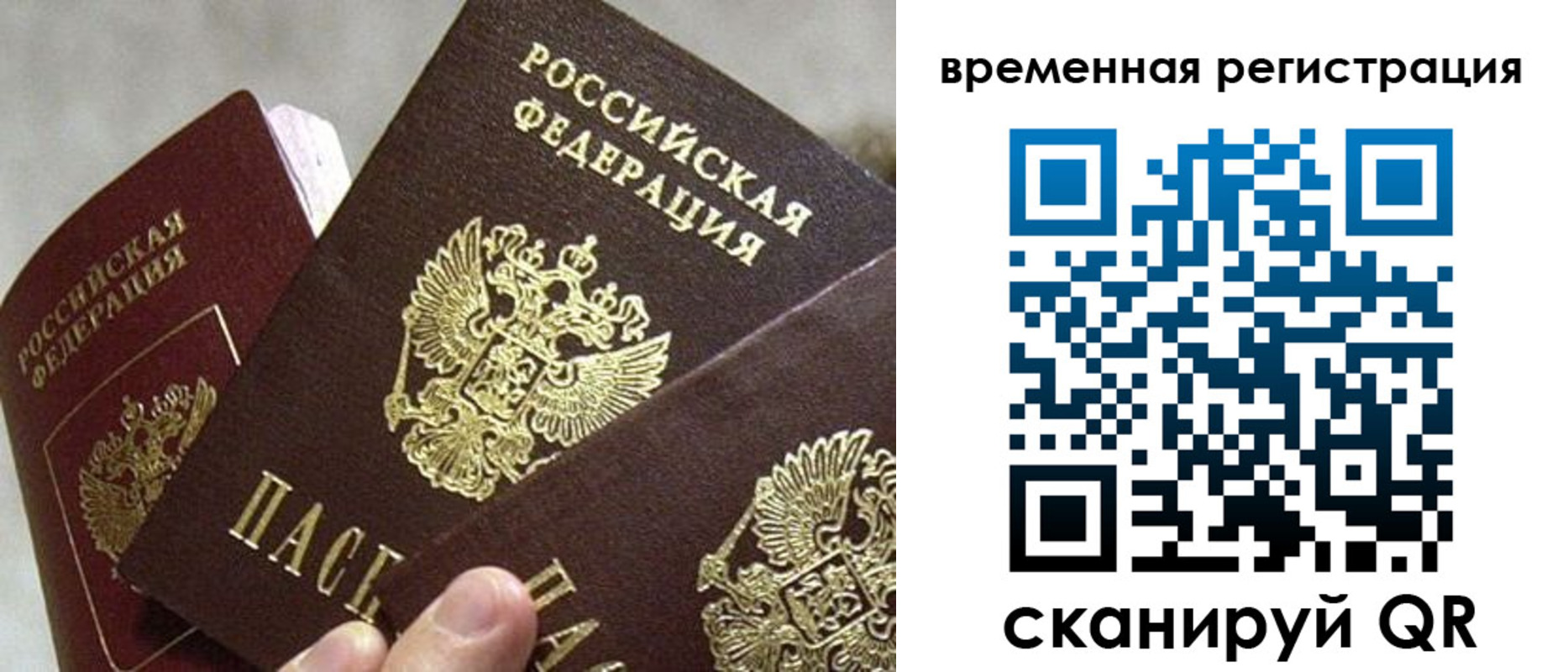 купить прописку в Торопеце